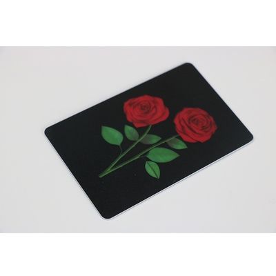 De Kaart13.56mhz Actieve Passieve Rfid Plastic Kaarten van de F05f08 Spaander RFID NFC